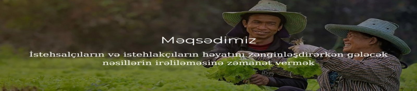 İE  Agro